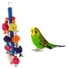 Andere Vogelversorgungen Papageien Spielzeug Kautspielzeug hängen Swing Cage Accessoires für darlegische afrikanische Grautöne eclectus cockatoo