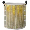 Sac à linge Décors à l'extérieur de la fenêtre Birch Forest Dirk Basket Pliable Organisateur Organisateur Vêtements Kids Toy Rangement