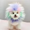 Hondenkleding verstelbare bevestigde huisdier hoed leeuwenvorm cosplay schattige kattenpruiken voor Halloween -feesten feestelijke kostuums klein