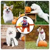 Costumi di cosplay di abbigliamento per cani per cani divertenti di Halloween cani da cowboy accessori in costume per la sfilata del festival PO