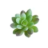 Fleurs décoratives 5pcs mini assortiment vert fausse plantes succulentes articulent cactus émulation pour le bureau de table de bureau de bureau