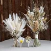 Decorative Flowers Natural Fluffy Pampas Grass Dried Tail Bouquet Nordic Boho Home Table Decor Wedding Party Decoration