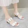 Slippers Shoes For Women 2024 Fashion Summer High High's Women's Sexy's Sexy Open Block Block Femme Sandal Cavice Slides