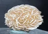 120 g naturale Desert Rose Selenite Guarigione di cristallo grezzo Gambo minerale Minerale campione ruvido cluster decorazioni fengshui reki4837242