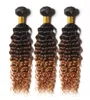 Brasiliansk ombre djup lockigt hårbuntar 3 ton 1b430 brun ombre brasiliansk lockig jungfrulig mänsklig hårväv9596520