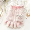 Ins Winter Dog Clothes Cat Princess Dress Backpack Pink Luxury Fashion Design Thickened Skirt Christmas 240402