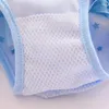 Schéma de chien fille pantalon physiologique shorts sanitaires lavables femelles animales pivottes couches menstruation sous-vêtements pour chiens chats