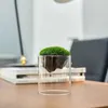 Vaser glas blomma vas för dekor hem handgjorda moderna iriserade mittstycken vardagsrum kök kontor bröllop