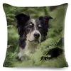 Poduszka Scotland Border Contrie Decor Pet Animal Dog Print Cute Cover for Sofa Home Polyester Pillowcase 45