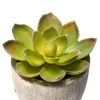 Dekorativa blommor Perpetual Succulent Plants Pot Artificial Flowerpot Decor Bonsai Planter Home Ornaments Garden Office Wedding DIY Mini