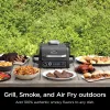 Fryers Ninja Woodfire 3in1 Grill Outdoor, Master Grill, BBQ Fmoker, Outdoor Air Fryer avec feuille de bois, OG700