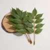 Dekorativa blommor 30 st/22 cm Silk Leaf Green Leaves Artificial Plants for Wedding Decoration Diy Wreath Gift Scrapbooking Craft