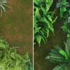 Fiori decorativi Muschio artificiale Muscolo pratico simulazione di moquette di erba finta prati da giardino esterno decorazione del pavimento