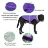 Abbigliamento per cani Reflective Pet Clothes Coate di giacca invernale Giacca inverno Accoglienti vestiti caldi per piccoli medium Big Dogs Autfit Labrador