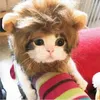 Cat Carriers Lion Wig Costume Cats Accessories Cute Funny Small And Medium-Sized Pet Mane For Decor