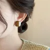 Boucles d'oreilles étalon 2024 Bloc coloré Maillard pour l'automne et l'hiver: bijoux de femmes de style élégant de luxe unique.