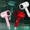Electric Hair Dryer Batch of internet famous hammer hair dryers for household dormitories blue light silent H240412