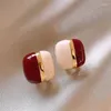 Boucles d'oreilles étalon 2024 Bloc coloré Maillard pour l'automne et l'hiver: bijoux de femmes de style élégant de luxe unique.