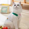 Dog Apparel Cute Summer Fruit Clothes Cartoon Sticker Show Traction Strap Cat Two Feet Puppy Vest Teddy Clothing Costume