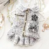 Ins Winter Dog Clothes Cat Princess Dress Backpack Pink Luxury Fashion Design Thickened Skirt Christmas 240402