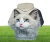 Men039s Hoodies Sweatshirts Sevimli Kedi Erkek Kız Açık Mekan 3D Baskı Hoodie Sweater Pet Baskısı Moda Sporları Pullover Sonbahar ve2287160