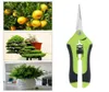 Outils de jardin Seccateurs Bonsaï Cisaïs Metal Gardening Scissor Trogning Tournette à main Cutter Fruit Cueillette Maison Potted2468765056