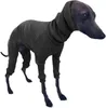 Hundkläder sträcker sig fyrbenta overaller för stora hundar Turtleneck Pet tröja Whippet italiensk Greyhound Winter Pullover Jumpsuit S-5XL