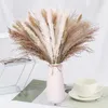 Fleurs décoratives bricolage Pampas Grass Bouquet mélangé Fleur séchée naturelle Boho Christmas Wedding Decor Tail For Shoting Accesstes Room