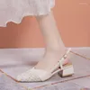 Dress Shoes Buckle Strap Block Heels Med 2024 Summer Closed Toe Sandals Women Clear Suit Female Beige Chunky Medium Fashion Open Girls