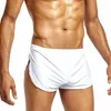 Cuecas Jaycosin Man Underwears Mens Sexy Solid Solid Short respirável gelo calça de seda Bolsa Boxer Underwear