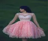 Fashionable Pink Short Homecoming Dresses Open Back Scoop Neckline With Crystal Beaded Lace A Line Graduation Gowns New Arrival4254849