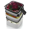 Dinnerware Antique Midnight Botanical Flower Rose Garden Bento Box Lunch Thermal Container 2 Layer Healthy Nature Blossom