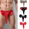 Underpants Brand Elephant Bulge Pouch Mens Briefs Elastic T Back Lingerie Thong Erotic Underwear Sexy L HerenonderGoed #