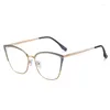 Sonnenbrille Rahmen Blaulicht Blockierbrille Katze Eye Mode Frauen Design Full Rim Legierung Brillen UV400 Rezept Brillen Brillen Brillen