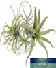 Dekorative Blumen Kränze 4 Pack künstliche Ananas Grasluftpflanzen Gefälschte Faux -Faux -Faux Tillandsia Bromeliads Home Garden Deco3630513