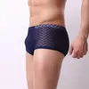 Sous-pants Transparent Lace Male Panties Coton Boxer Coton Confortable Boxer de la marque de troncs de sous-vêtements pour hommes Boîte de tronc masculin