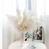 Fiori decorativi 10pcs/mazzo di canna secca naturale pampas bouquet home decorazione del matrimonio net tavolo da celebrità pografia