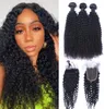 Afro brésilien pneosque coiffé Les cheveux humains tissages 3 paquets avec 4x4 Fermeture de lacet Bleach Nots fermetures7480961