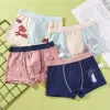 Shorts 4pc In biancheria intima per bambini per bambini Cartoon Shorts Cotton Underpants Case Mutandine