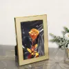 Frame Silver Plated Metal Photo Frame, Desktop Picture Frames, Luxury, MPF101