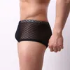 Sous-pants Transparent Lace Male Panties Coton Boxer Coton Confortable Boxer de la marque de troncs de sous-vêtements pour hommes Boîte de tronc masculin