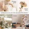 Decoratieve bloemen 60/80 stcs echte staarten gras gedroogd bruiloft feest decor natuur lagurus ovatus boho kerstdiy thuistafel decoratie