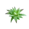 Fleurs décoratives 5pcs mini assortiment vert fausse plantes succulentes articulent cactus émulation pour le bureau de table de bureau de bureau