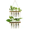 Vases Wall Hanging Hydroponics Flower Test Tube Planter Propagator With Wooden Stand 2 3 Tiered Holder Office Modern Terrarium