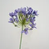 Decorative Flowers Useful European Style High Quality Artificial Agapanthus Flower Portable Fake Widely Use For Living Room