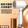 Electric Hair Dryer High speed hair dryer for household blue light care high-power cold and hot air duct student dormitories H240412