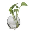 Vaser 6st Clear Ball Glass Flower Vase Pot Mini Landscape Terrarium Bottle Little Cute Candlestick 8CM3031784