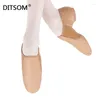 Chaussures de danse 2024 Stirage extensible en cuir naturel sur ballet de jazz pour hommes Femmes Exercice doux Latin Ballroom Dancing Sneakers