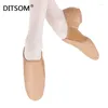 Dansskor 2024 Natural Leather Stretch Slip på Jazz Ballet för män Kvinnor Soft träning Latin Ballroom Dancing Sneakers