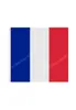 France Flag National Polyester Banner Flying 90 x 150cm 3 5ft flaggor över hela världen över hela världen utomhus3336262